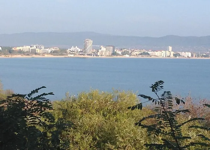 Flores Park Slantschew brjag